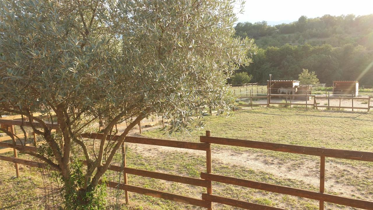 Chambre D'Hotes Le Petit Ranch Los Masos Exteriér fotografie