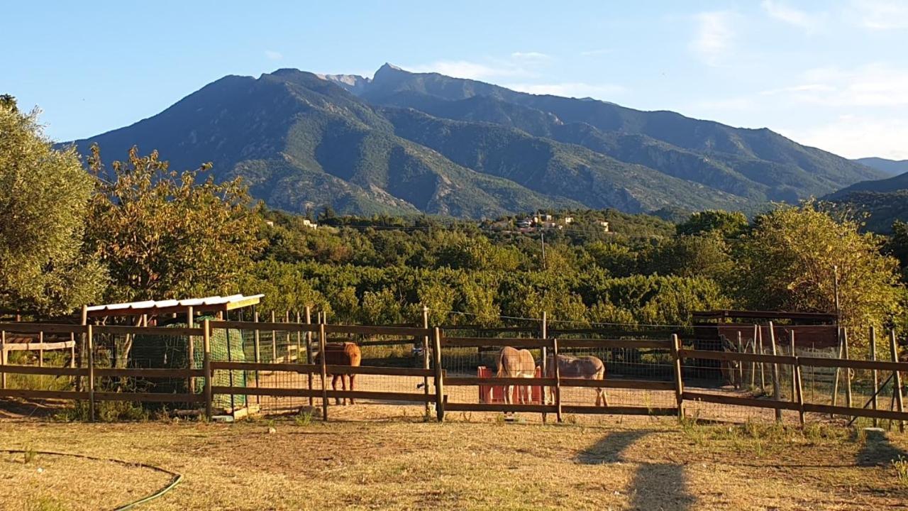 Chambre D'Hotes Le Petit Ranch Los Masos Exteriér fotografie