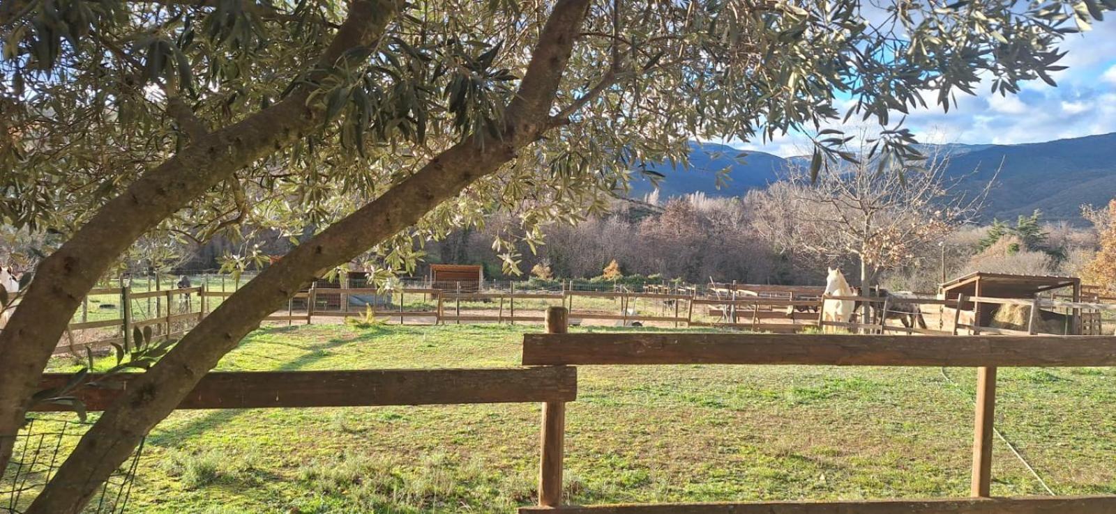 Chambre D'Hotes Le Petit Ranch Los Masos Exteriér fotografie